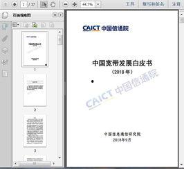 国产37页,深度解析我国科技发展的新篇章